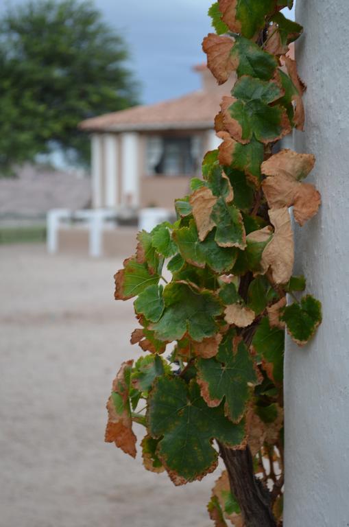 Finca El Carmen Angastaco Dış mekan fotoğraf